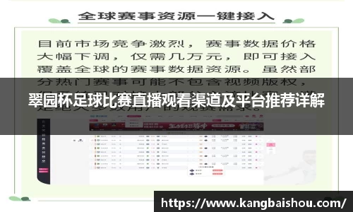 翠园杯足球比赛直播观看渠道及平台推荐详解